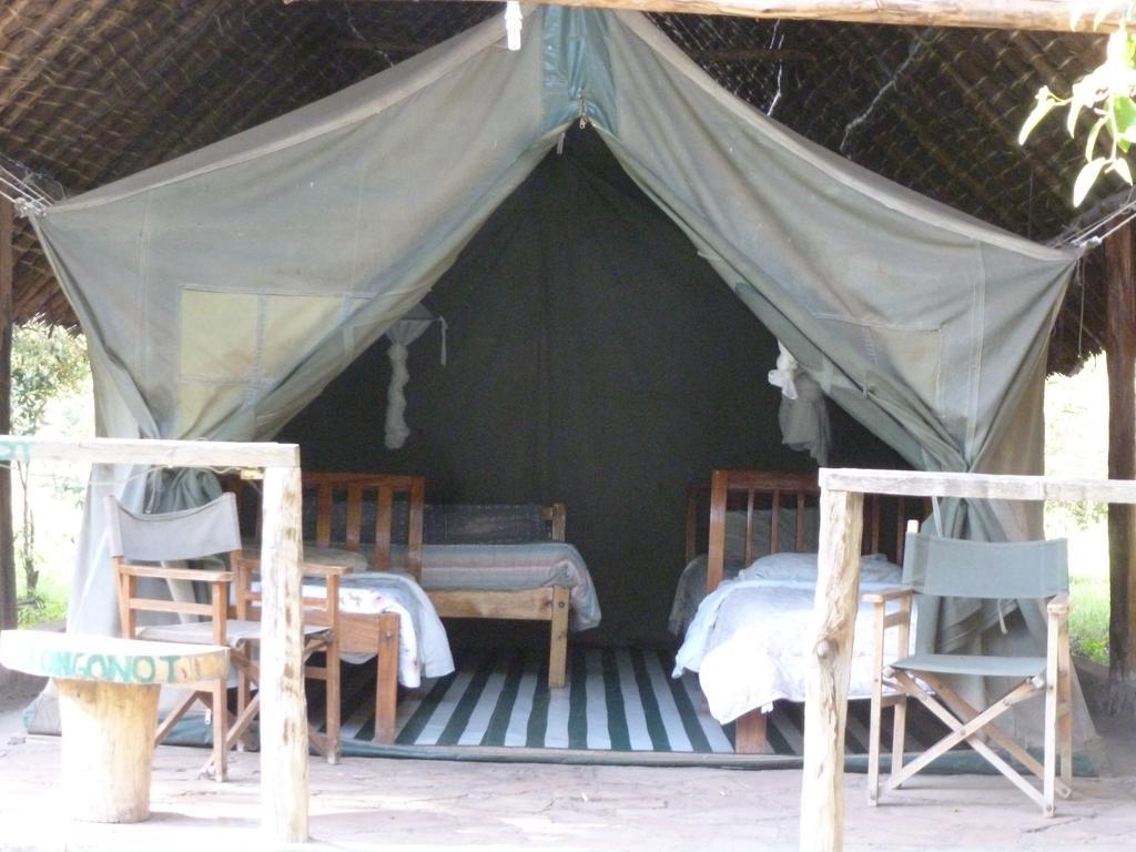 Enchoro Wildlife Camp Hotel Ololaimutiek Buitenkant foto